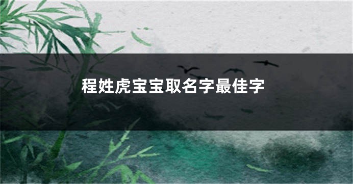 程姓虎宝宝取名字最佳字