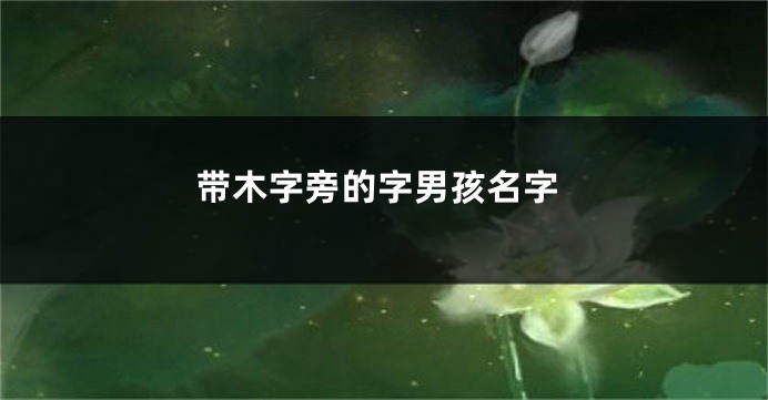 带木字旁的字男孩名字
