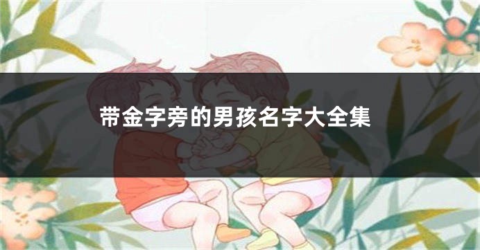 带金字旁的男孩名字大全集