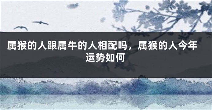 属猴的人跟属牛的人相配吗，属猴的人今年运势如何