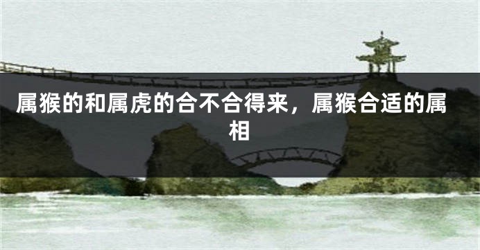 属猴的和属虎的合不合得来，属猴合适的属相