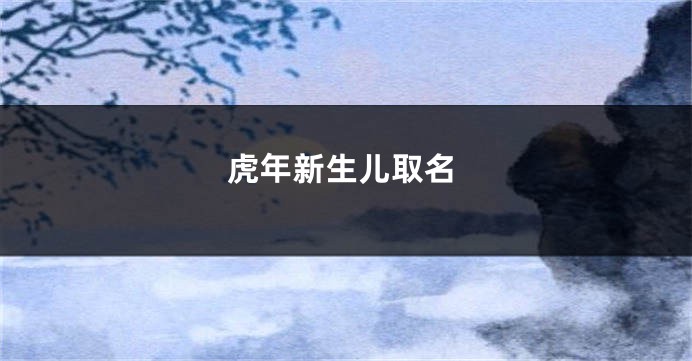 虎年新生儿取名