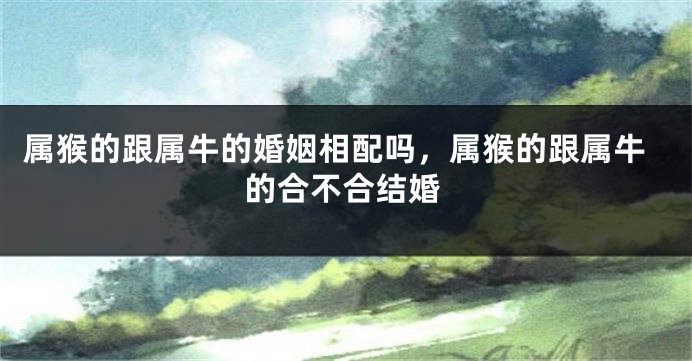 属猴的跟属牛的婚姻相配吗，属猴的跟属牛的合不合结婚