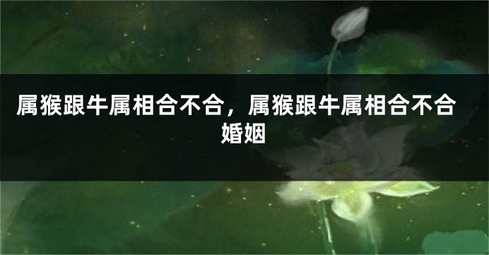属猴跟牛属相合不合,属猴跟牛属相合不合婚姻