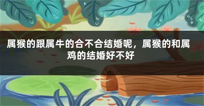 属猴的跟属牛的合不合结婚呢，属猴的和属鸡的结婚好不好