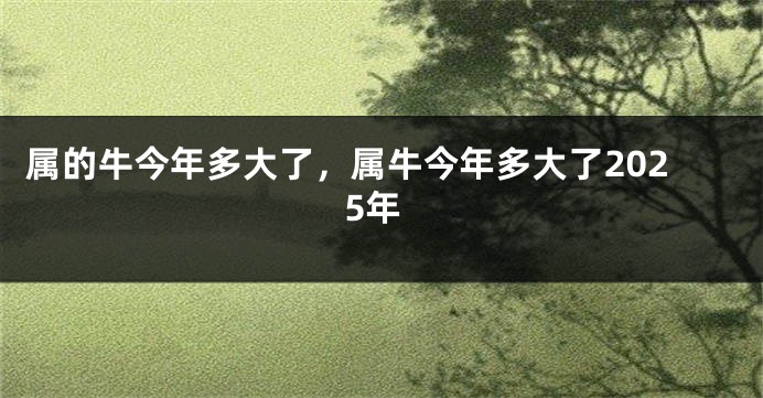 属的牛今年多大了，属牛今年多大了2025年