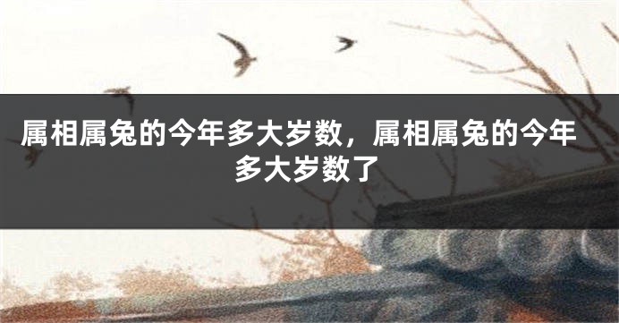 属相属兔的今年多大岁数,属相属兔的今年多大岁数了