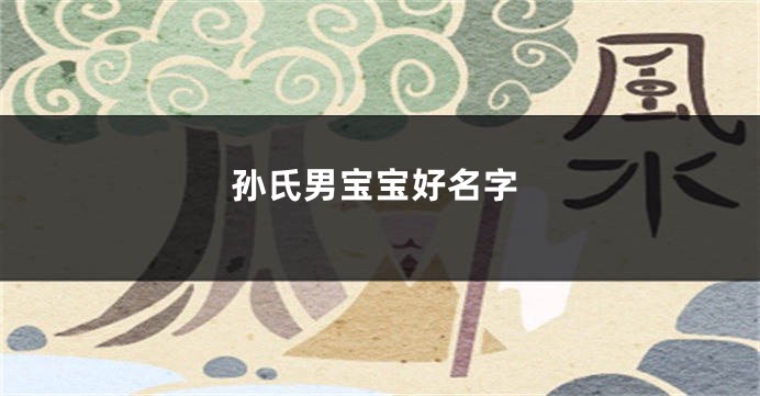 孙氏男宝宝好名字