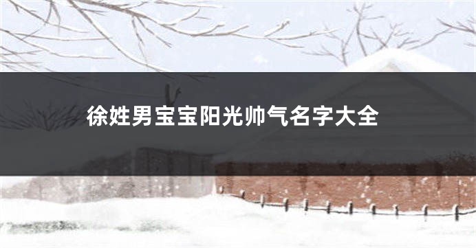 徐姓男宝宝阳光帅气名字大全