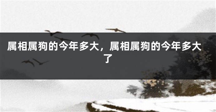 属相属狗的今年多大，属相属狗的今年多大了
