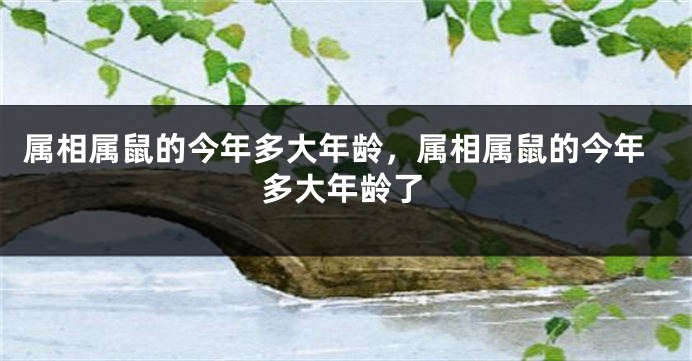 属相属鼠的今年多大年龄，属相属鼠的今年多大年龄了