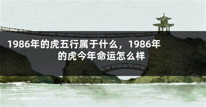 1986年的虎五行属于什么，1986年的虎今年命运怎么样