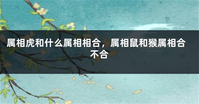 属相虎和什么属相相合，属相鼠和猴属相合不合