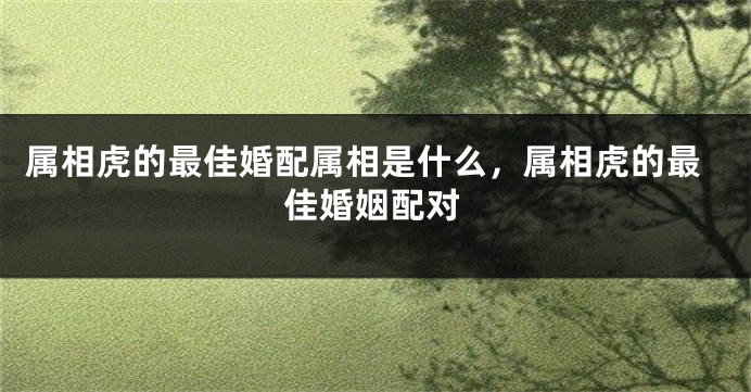 属相虎的最佳婚配属相是什么，属相虎的最佳婚姻配对