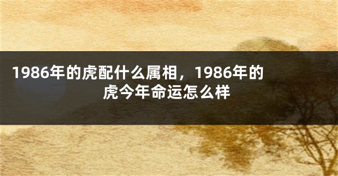 1986年的虎配什么属相，1986年的虎今年命运怎么样