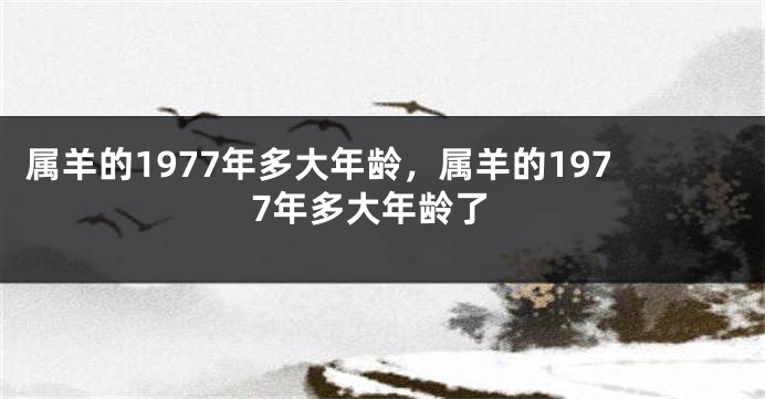 属羊的1977年多大年龄,属羊的1977年多大年龄了