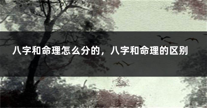 八字和命理怎么分的，八字和命理的区别