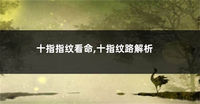 十指指纹看命,十指纹路解析