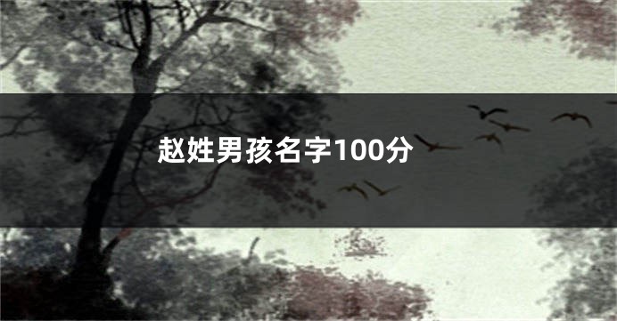 赵姓男孩名字100分