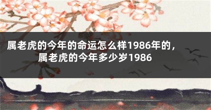 属老虎的今年的命运怎么样1986年的,属老虎的今年多少岁1986