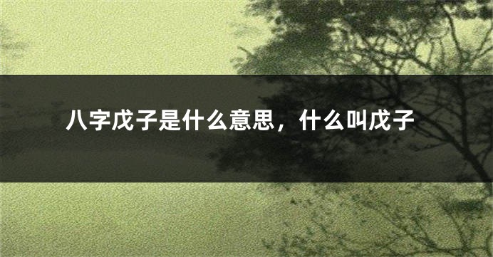 八字戊子是什么意思，什么叫戊子