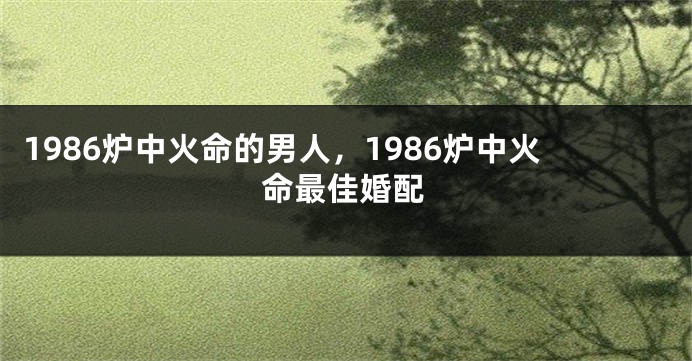 1986炉中火命的男人，1986炉中火命最佳婚配