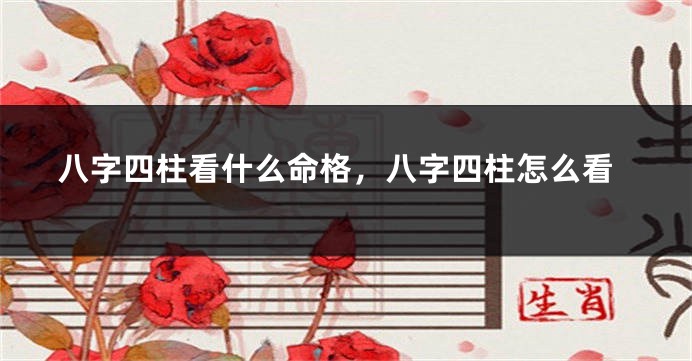 八字四柱看什么命格，八字四柱怎么看