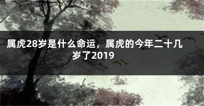 属虎28岁是什么命运，属虎的今年二十几岁了2019