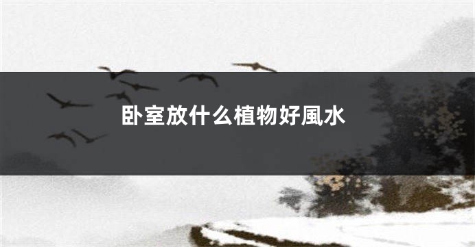 卧室放什么植物好風水