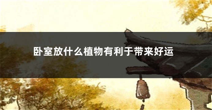卧室放什么植物有利于带来好运
