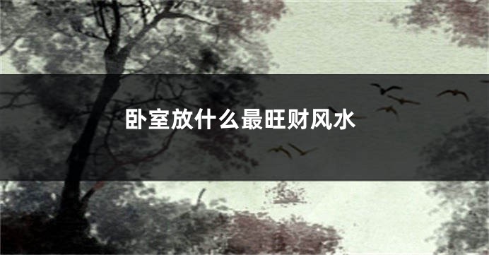 卧室放什么最旺财风水