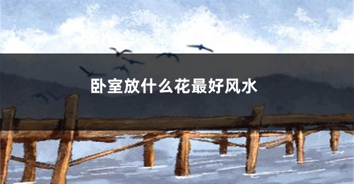 卧室放什么花最好风水