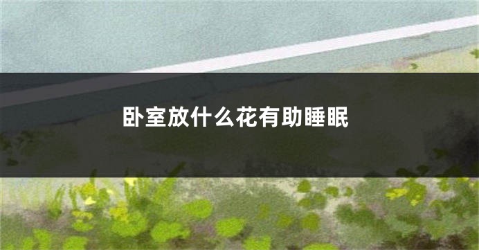 卧室放什么花有助睡眠