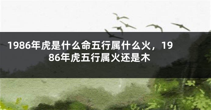 1986年虎是什么命五行属什么火，1986年虎五行属火还是木