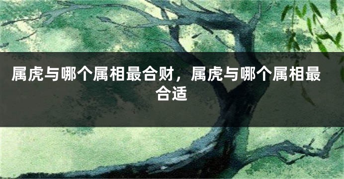 属虎与哪个属相最合财，属虎与哪个属相最合适