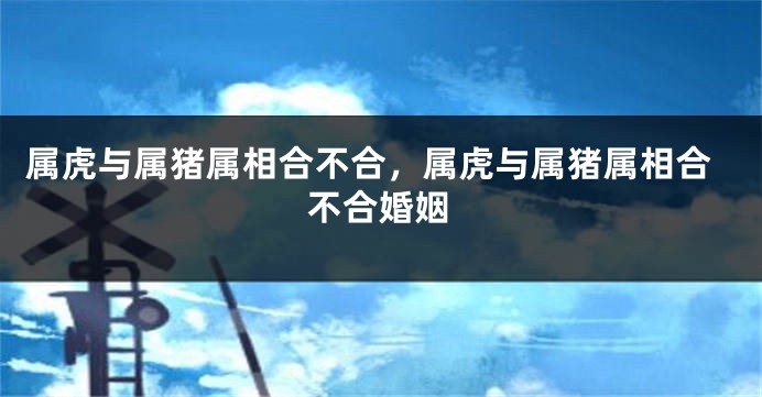属虎与属猪属相合不合，属虎与属猪属相合不合婚姻