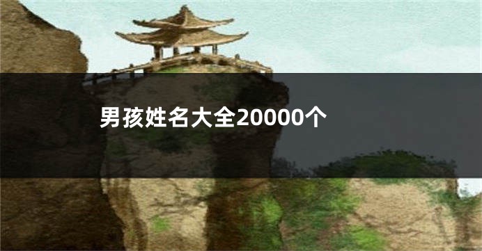 男孩姓名大全20000个
