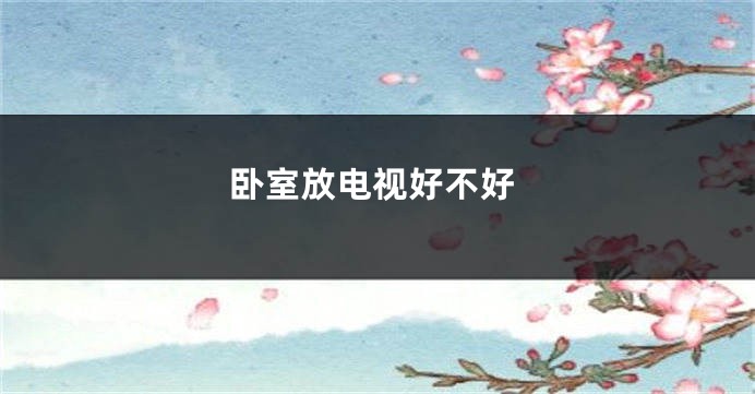 卧室放电视好不好