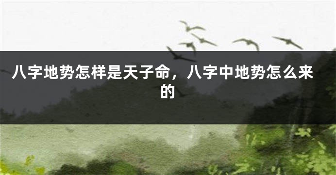 八字地势怎样是天子命，八字中地势怎么来的