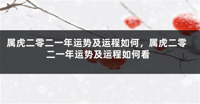 属虎二零二一年运势及运程如何，属虎二零二一年运势及运程如何看