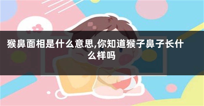 猴鼻面相是什么意思,你知道猴子鼻子长什么样吗
