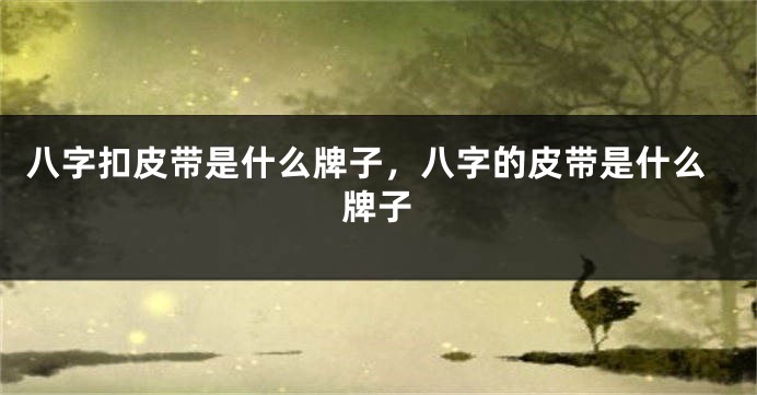 八字扣皮带是什么牌子，八字的皮带是什么牌子