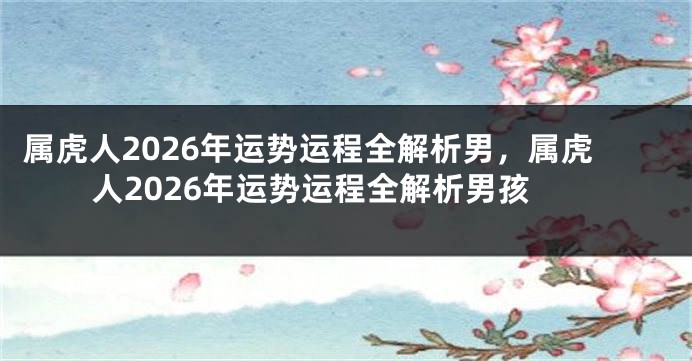 属虎人2026年运势运程全解析男，属虎人2026年运势运程全解析男孩