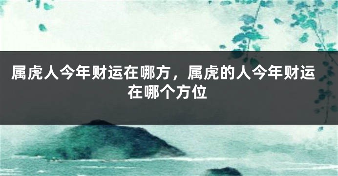属虎人今年财运在哪方，属虎的人今年财运在哪个方位