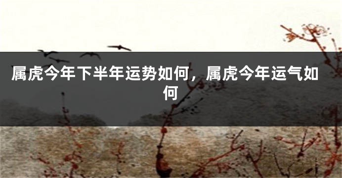 属虎今年下半年运势如何，属虎今年运气如何