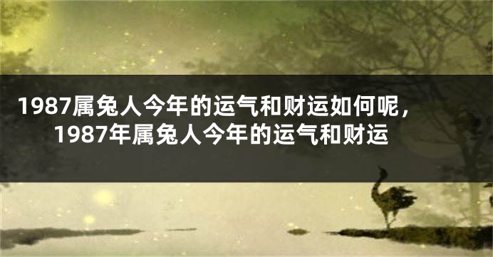1987属兔人今年的运气和财运如何呢，1987年属兔人今年的运气和财运
