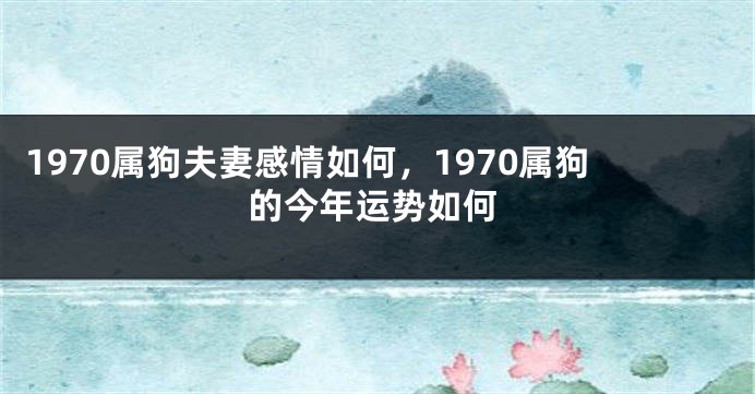 1970属狗夫妻感情如何，1970属狗的今年运势如何