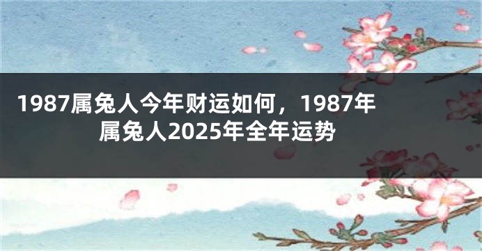 1987属兔人今年财运如何，1987年属兔人2025年全年运势