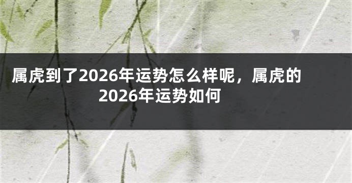 属虎到了2026年运势怎么样呢，属虎的2026年运势如何