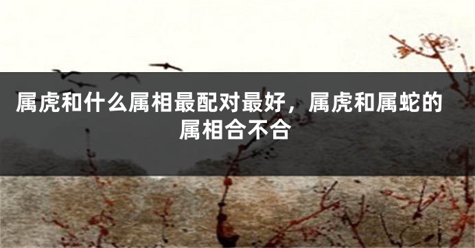 属虎和什么属相最配对最好，属虎和属蛇的属相合不合